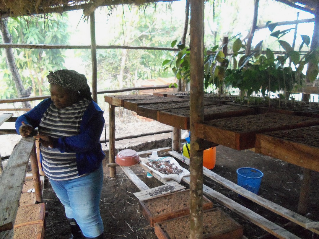 2017 grantee in the field