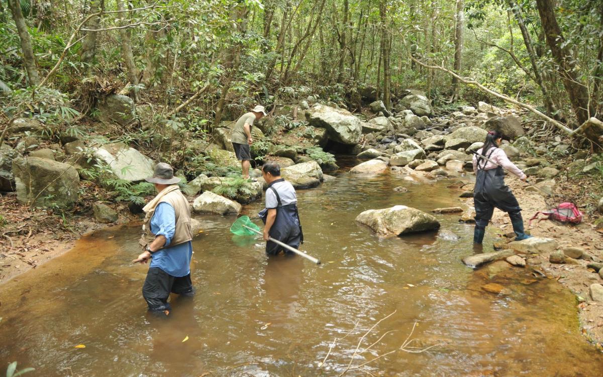 Researchers wading in a river.
