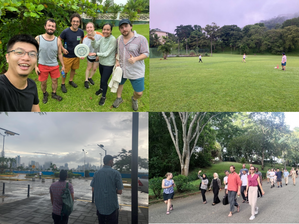 4 photos, from top left clockwise: a group of people smiling in a selfie holding a frisbee; thre people standing in a field in the middle of a game, foggy mountains in the backgruond; a large group of people smiling and waving while walking down a road; two men looking in the distance towards Panama City's foggy skyline