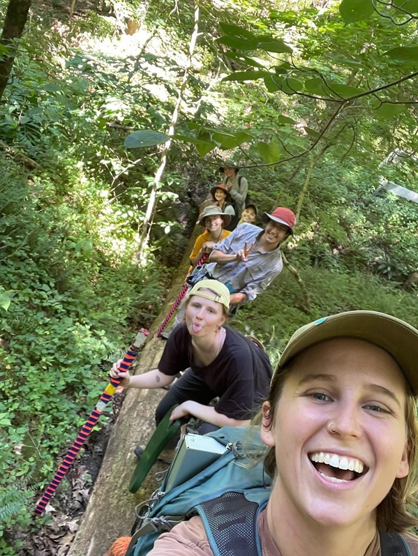 Group of students searching for pawpaws