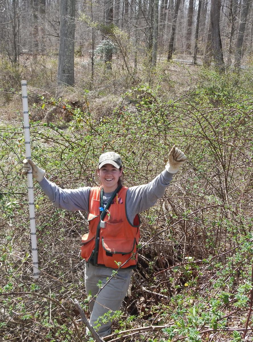 Jess in an orange vest and hat, holding a measuring tool with her hands in the air, smiling in the forest
