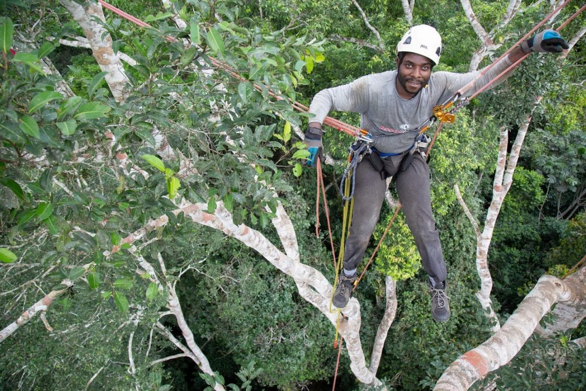 Libalah in climbing gear above the tree canopy.