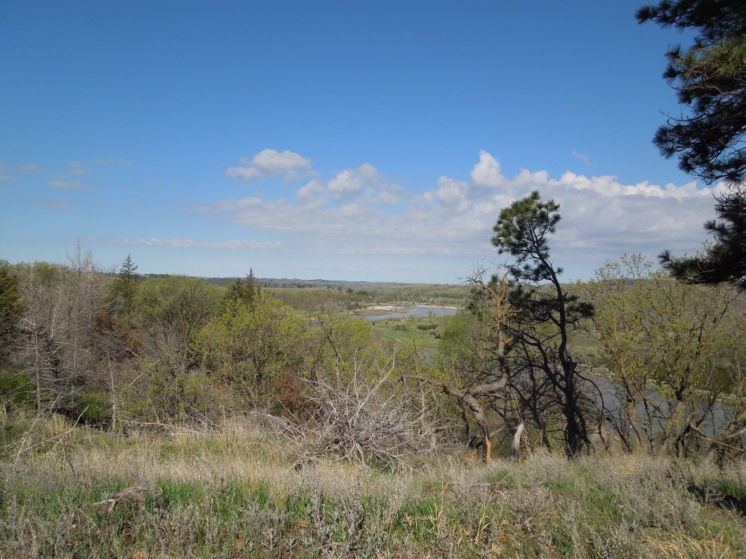 canyon view of Nebraska plot