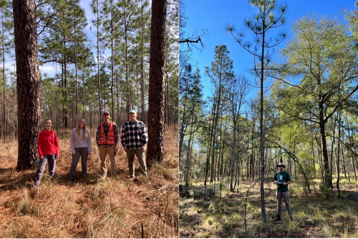 two photos side by side -- on the left, a group of 4 individuals stand smiling at the camera in a forest, surrounded by pine trees, On the right, a single person stands in the forest surrounded by trees, with a blue sky in the background