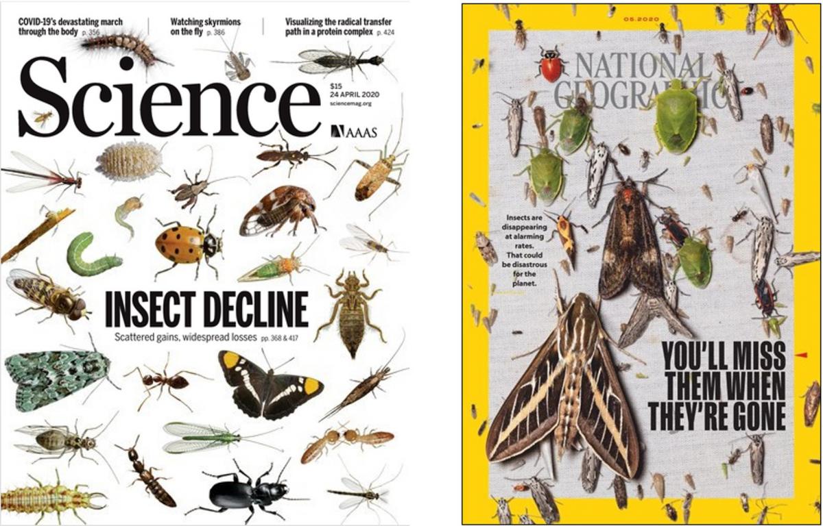 Covers of Science and National Geographic.