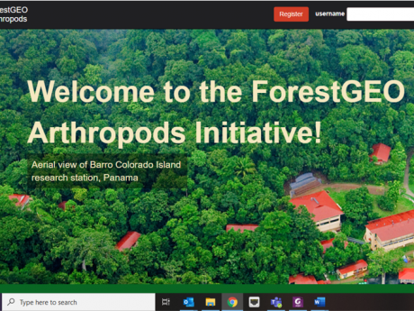 screenshot of ForestGEO Arthropod Database