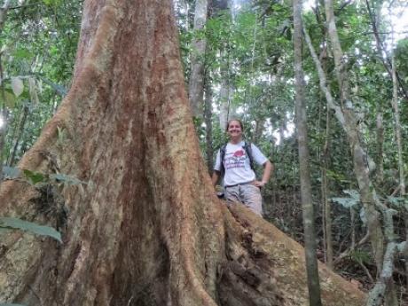 KC with a buttressed tree in Khao Chong, Thailand