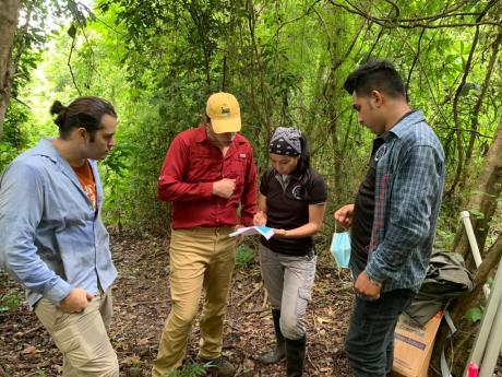 A field crew stands in the forest and reviews data on a clipboard.