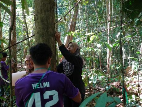 a woman stands in the forest, surrounded by 3 team members. She is measuring a tree.