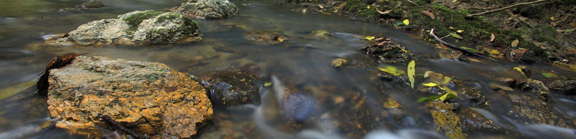 stock photo creek