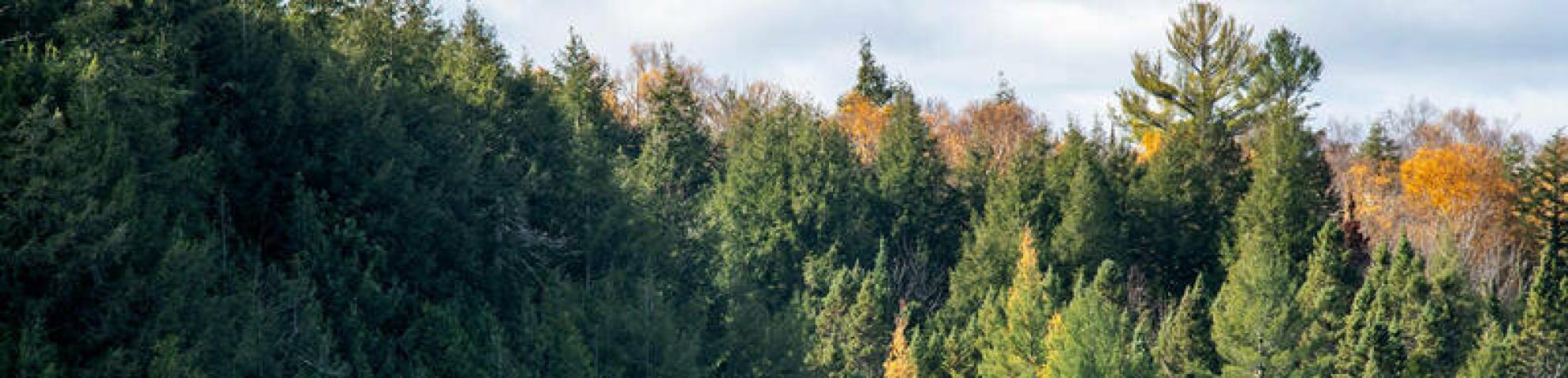 Photo of UNDERC from their website