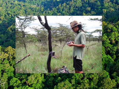 photo collage of scientists conducting field work 